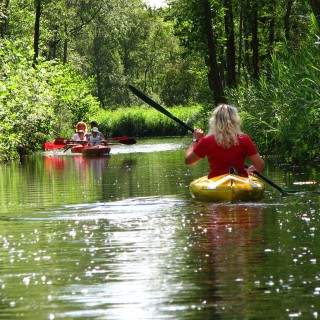 Kanoen Nationaal Park Weerribben Wieden WaterReijk.jpg