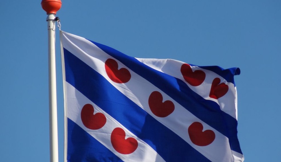 Leeuwarden Friese vlag.jpg