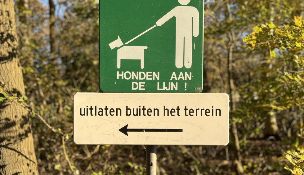 Honden welkom.JPG