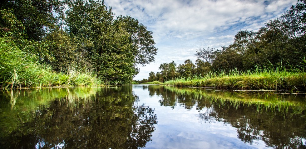 Weerribben-Wieden 2020 ©MarketingOost Nationaal Park en veenhart (13).jpg