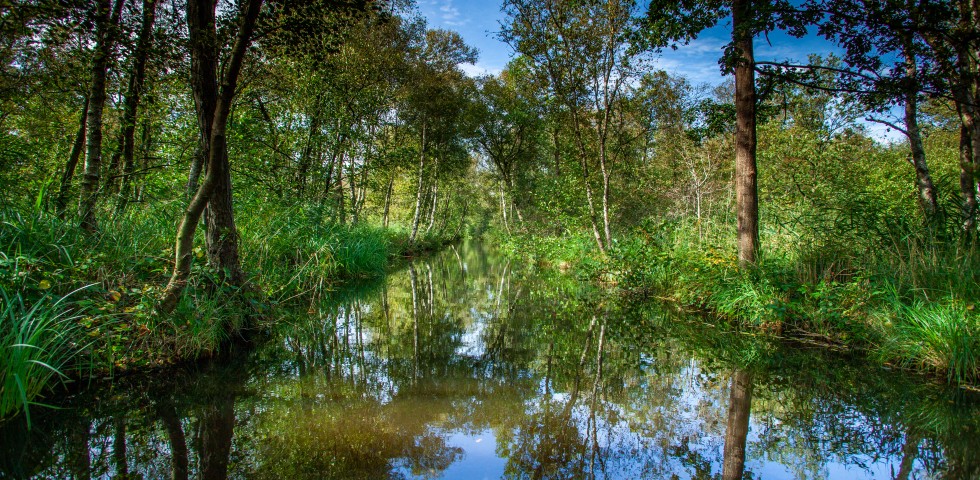 Weerribben-Wieden 2020 ©MarketingOost Nationaal Park en veenhart (21).jpg
