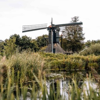 Middag-& avondarrangement