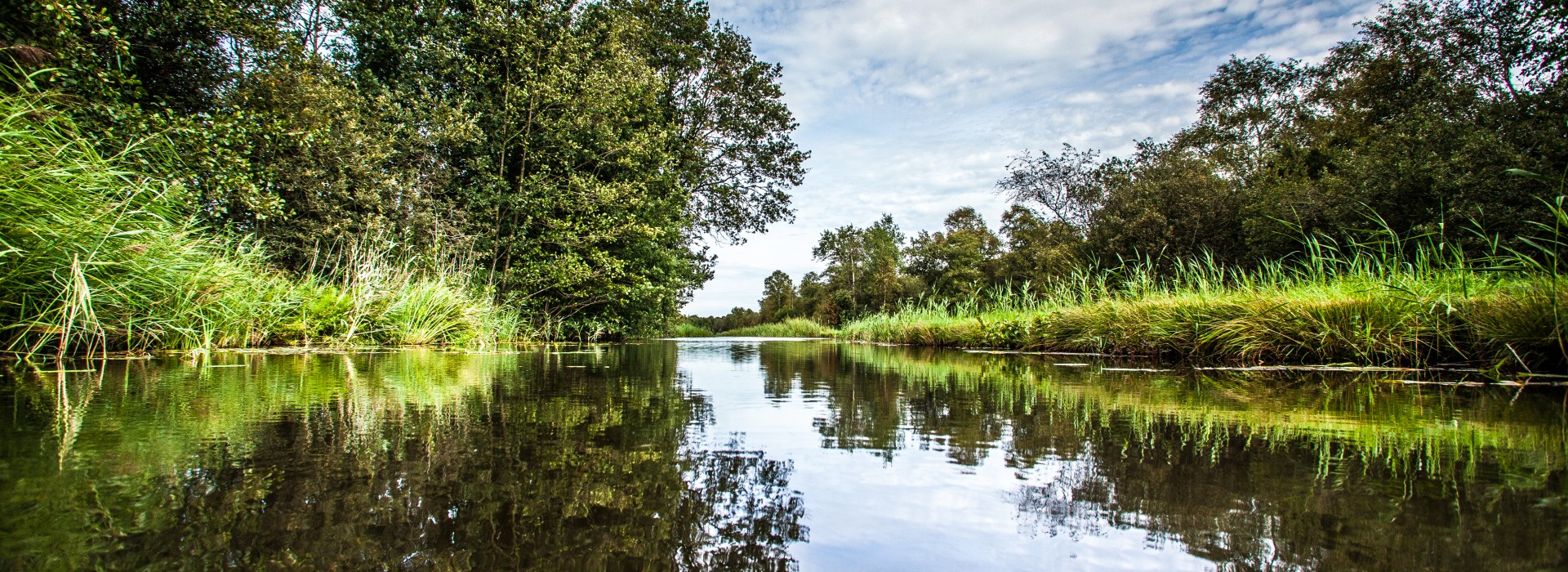 Weerribben-Wieden 2020 ©MarketingOost Nationaal Park en veenhart (13).jpg